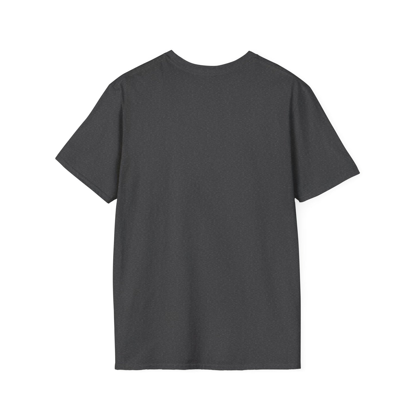Birthday King T-Shirt — Crown Graphic Birthday Tee for Men